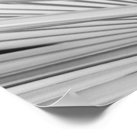 ヤシの木の葉の白黒ビュー ポスター (角)