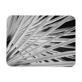 ヤシの木の葉の白黒ビュー マグネット (横)