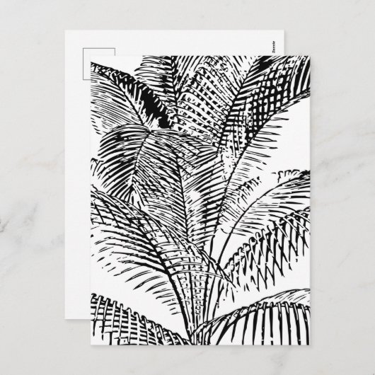 ヤシの木の葉ヴィンテージレトロ抽象芸術パターン シーズンポストカード (正面/裏面)