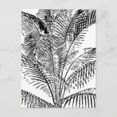ヤシの木の葉ヴィンテージレトロ抽象芸術パターン シーズンポストカード (正面)