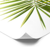 ヤシの木の葉熱帯自然写真 ポスター (角)