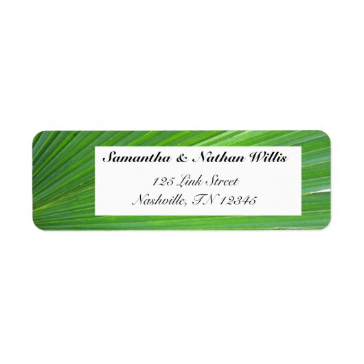 ヤシの木の葉 ラベル (正面)