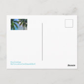 ヤシの木の間の虹/セントルシア ポストカード (裏面)