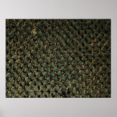 ヤシの木の鳥瞰写真 ポスター (正面)