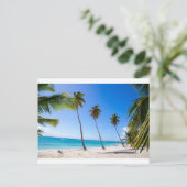ヤシの木はイスラサオナのビーチに ポストカード (スタンド正面)