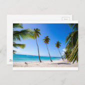 ヤシの木はイスラサオナのビーチに ポストカード (正面/裏面)