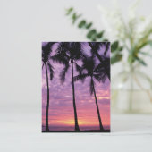 ヤシの木を空に向けて ポストカード (スタンド正面)