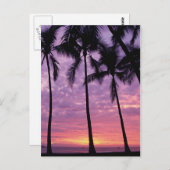 ヤシの木を空に向けて ポストカード (正面/裏面)