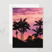 ヤシの木を通る夕日 ポストカード (正面/裏面)
