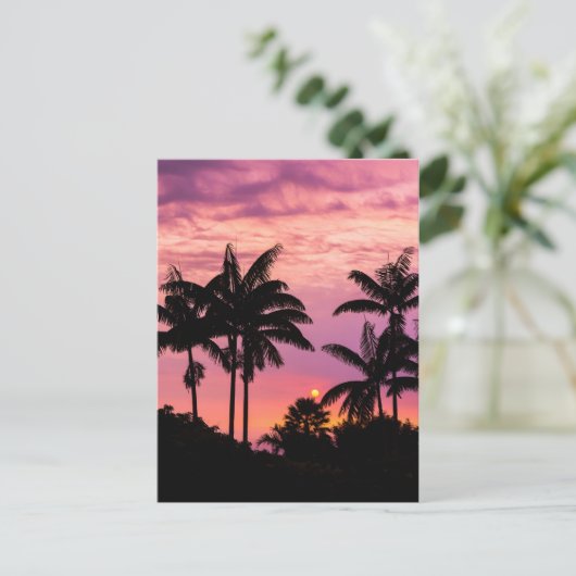 ヤシの木を通る夕日 ポストカード (スタンド正面)