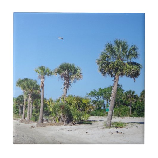 ヤシの木タイル タイル (正面)