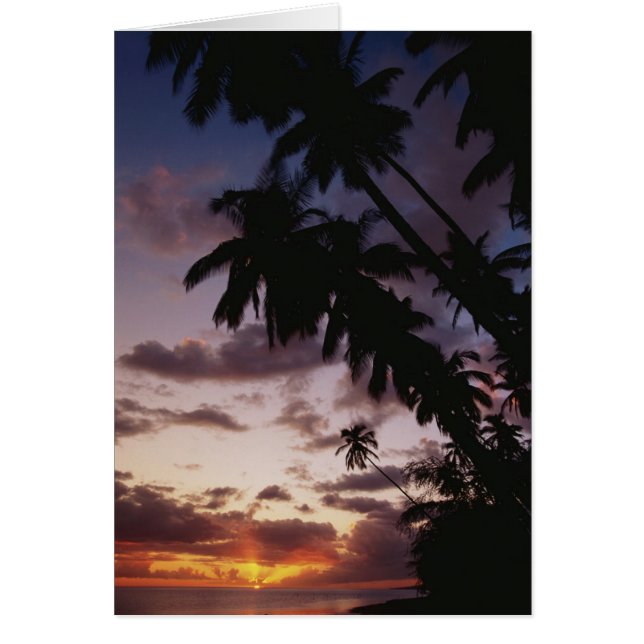 ヤシの木 (正面)