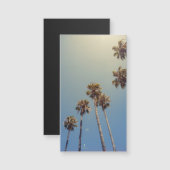 ヤシの木 (正面/裏面)