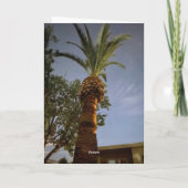 ヤシの木 🌴 カード (裏面)