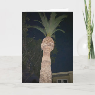 ヤシの木 🌴 カード