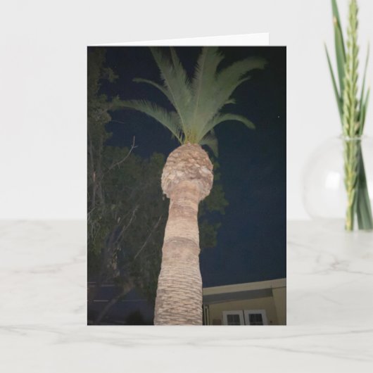 ヤシの木 🌴 カード (正面)