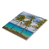 ヤシの木(ココス・ヌシフェラ)が揺れている タイル (側面)