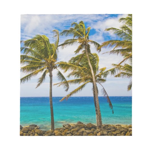 ヤシの木（ココス・ヌシフェラ）が揺れている ノートパッド (正面)