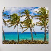 ヤシの木(ココス・ヌシフェラ)が揺れている ポスター (正面)