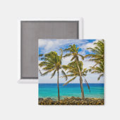 ヤシの木(ココス・ヌシフェラ)が揺れている マグネット (正面/裏面)