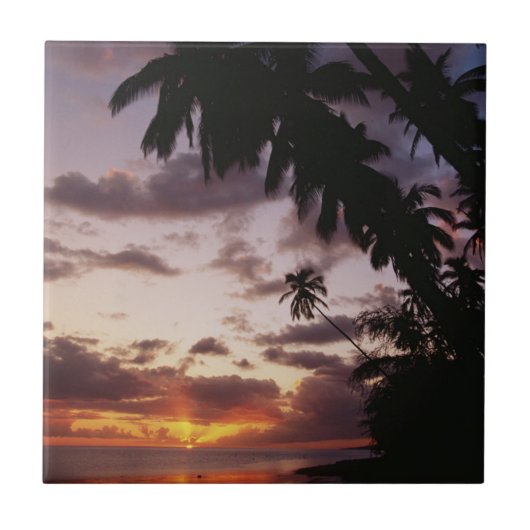 ヤシの木 タイル (正面)