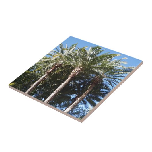 ヤシの木 タイル (側面)