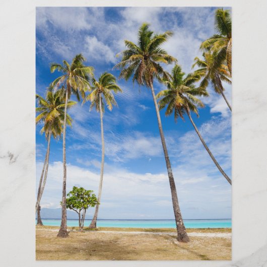 ヤシの木 チラシ (正面)