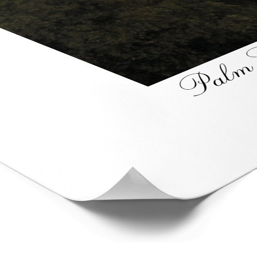 ヤシの木 ポスター (角)