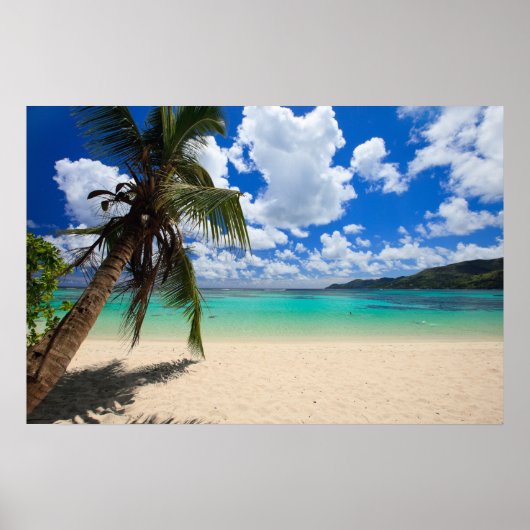 ヤシの木 ポスター (正面)