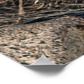 ヤシの木 ポスター (角)