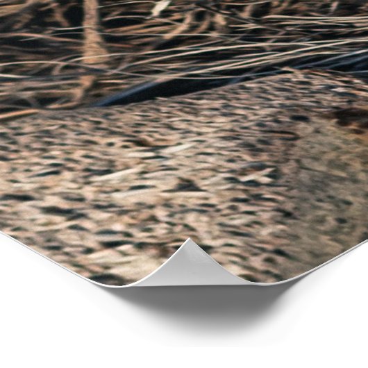 ヤシの木 ポスター (角)