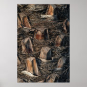 ヤシの木 ポスター (正面)