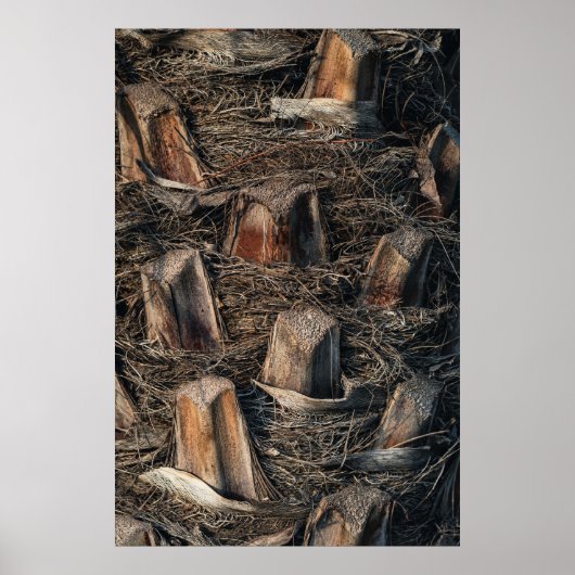 ヤシの木 ポスター (正面)