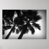 ヤシの木 ポスター (正面)