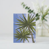 ヤシの木 ポストカード (スタンド正面)