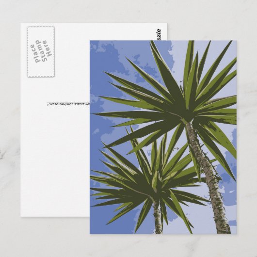 ヤシの木 ポストカード (正面/裏面)