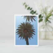 ヤシの木 ポストカード (スタンド正面)