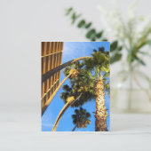 ヤシの木 ポストカード (スタンド正面)