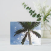 ヤシの木 ポストカード (スタンド正面)