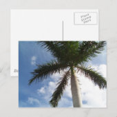 ヤシの木 ポストカード (正面/裏面)
