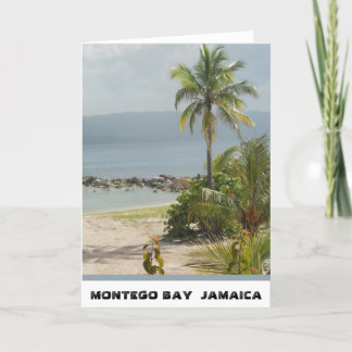 ヤシの木、モンテゴ・ベイジャマイカ2011年6月 カード