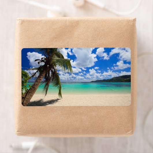 ヤシの木 ラベル (インサイチュ)