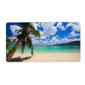 ヤシの木 ラベル (正面)