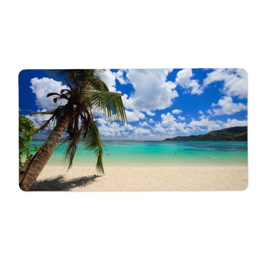 ヤシの木 ラベル (正面)