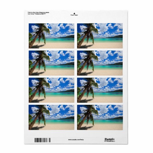 ヤシの木 ラベル (フルシート)