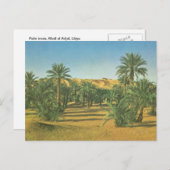ヤシの木、ワディ・エル・アドジャル、リビア ポストカード (正面/裏面)