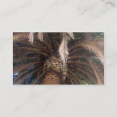 ヤシの木 名刺 (裏面)