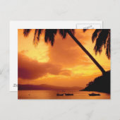 ヤシの木（水の上） ポストカード (正面/裏面)