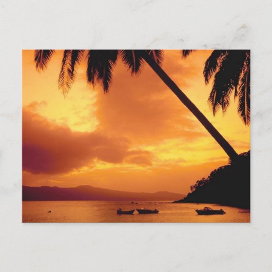 ヤシの木（水の上） ポストカード (正面)