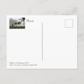 ヤシの木、熱帯風、マウイ葉書 ポストカード (裏面)